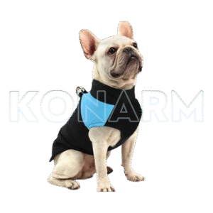 Ropa para mascotas | Chaleco Impermeable para mascotas pequeñas
